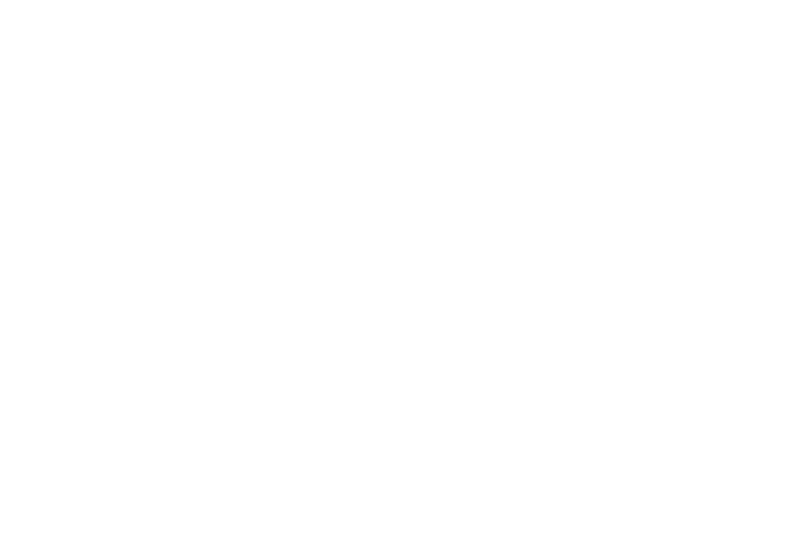 Max Media